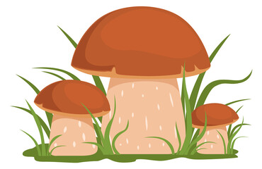 Forest porcini. Woodland nature element. Wild mushroom