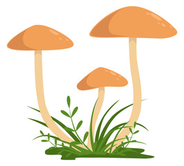 Honey fungus icon. Growing wild mushroom nature
