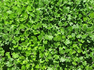 Армения - Природа в Армении неповторимая!