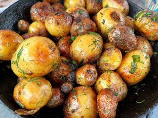 Young round fried potatoes with finely chopped dill. View from above. National Potato Day. World Food Safety Day. Delicious Food Day. World Vegetarian Day.