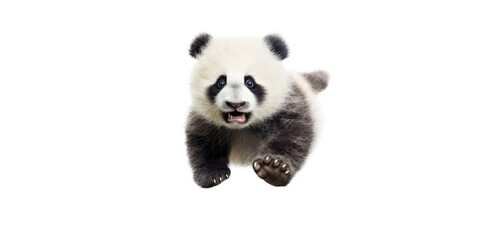 a cute Giant panda bear cub in motion, running, Wildlife-themed, cutout, isolated, photorealistic illustrations in a PNG. Generative AI