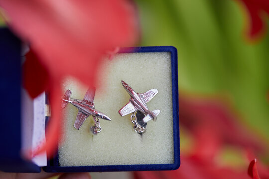 insignia, insignias, macro, aviones, box, gemelos
