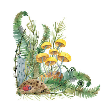 Watercolor forest illustration with mushrooms, fern, moss and snail. Border, frame isolated on white background.