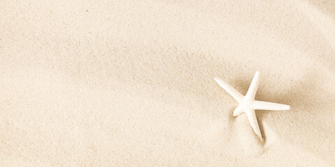 Fototapeta na wymiar Sea stars on sand. Travel and vacation. Vacation season. Summer holiday background. Beach starfish sand. Flat lay, top view, copy space. banner