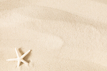 Sea stars on sand. Travel and vacation. Vacation season. Summer holiday background. Beach starfish sand. Flat lay, top view, copy space. banner