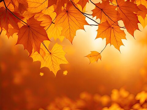 Autumn background leaves orange studio background. ai generative