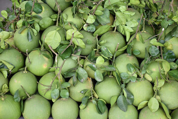 Close-up photo of pomelos with leaves in market. Southeast Asia fruit, Chinese and Taiwanese will...