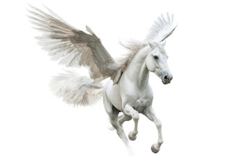 Naklejka na ściany i meble a majestic Pegasus, winged horse, flying, Mythology-themed, photorealistic illustrations in a PNG, cutout, and isolated. Generative AI