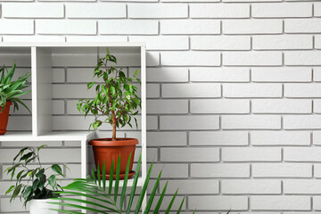 Shelving unit with potted houseplants near white brick wall
