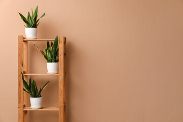 Shelving unit with snake plants near beige wall