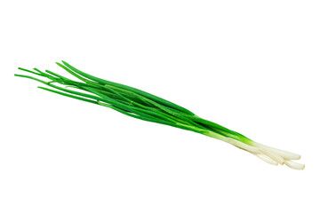 green young onion isolated from background