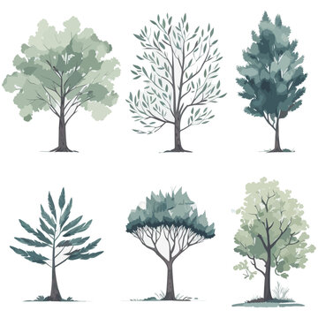 Minimal style tree painting hand drawn. Tree watercolor vector illustration. Set of graphics trees elements drawing for architecture and landscape design. White background