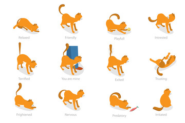 3D Isometric Flat  Set of Cats Behavior Poses