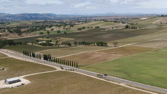 California Wine Country Paso Robles Vineyard Aerial Shot Fly Down