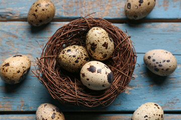 Obraz premium Nest with fresh quail eggs on blue wooden background