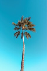 Palm tropical background. Illustration AI Generative.