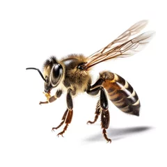 Foto op Plexiglas Honey bee isolated. Illustration AI Generative. © ArtCookStudio