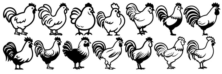 Chicken silhouettes set, large pack of vector silhouette design, isolated white background