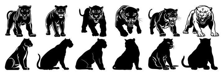 Panther silhouettes set, large pack of vector silhouette design, isolated white background