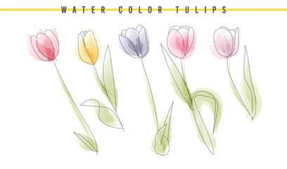 watercolor abstract tulips for card invitation background flower vector