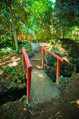Fototapeta na wymiar Red Chinese style bridge with wooden railings in lush greenery of asian part of tropical botanical garden in Lisbon, Portugal