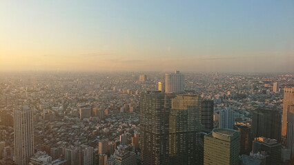 Tokyo city skyline overview 