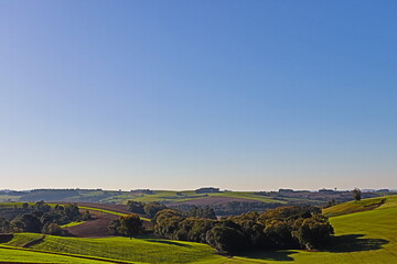 Fototapeta premium Natureza!