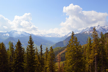 Alpen bei Rauris