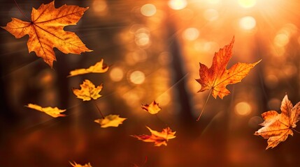 Flying fall leaves close up on autumn forest background, golden hour, copy space