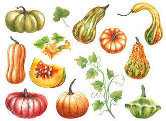 Set of pumpkins isolated on white background. Watercolor hand drawn illustration of bright pumpkin. Clipart for the design of postcards and invitations for the autumn theme and Halloween.