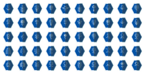 set of vector images of flowers on a blue background © BRAYAN