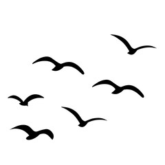 Silhouette of flying birds