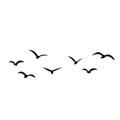 Silhouette of flying birds