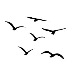 Silhouette of flying birds