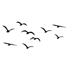 Silhouette of flying birds