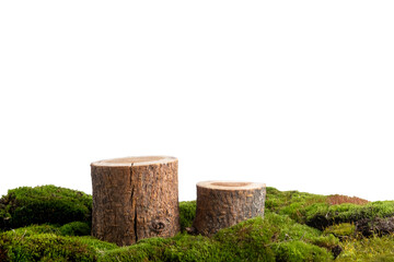 natural style. Wooden saw cuts, round podiums with green moss on a transparent background. Still life for the presentation of products.	