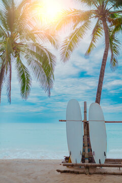 Surfboards beside coconut trees at summer beach with sun light and blue sky background.