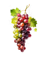 Fototapeta premium Moist Grapes and Leaves on the Vine with Water Splash Isolated on a Transparent Background - Transparent PNG, Generative AI.