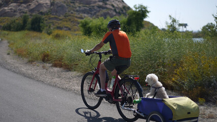 Obraz premium Elderly senior man biking on an electric bike on a trail pulling a trailer with a dog in it.