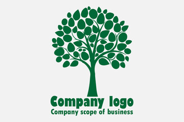 Obraz premium tree with leaves