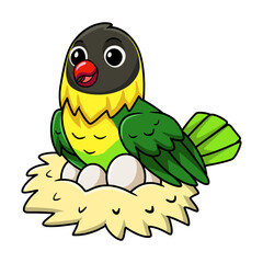Cute yellow collared love bird cartoon with eggs in the nest