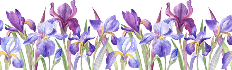 Iris flowers seamless border, botanical watercolor illustration. Perfect for greeting cards, notepads, packaging, and other stationery products