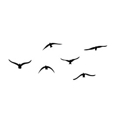 Flying birds silhouettes vector