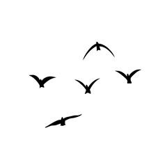 Flying birds silhouettes vector