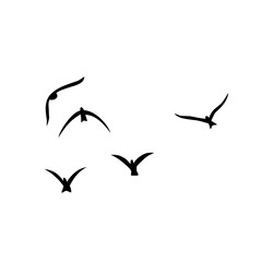 Flying birds silhouettes vector