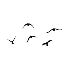 Flying birds silhouettes vector