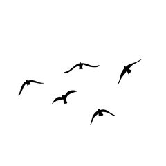 Flying birds silhouettes vector