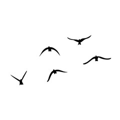 Flying birds silhouettes vector