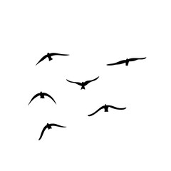 Flying birds silhouettes vector