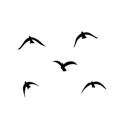Flying birds silhouettes vector